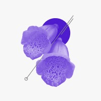 Digitalis Ventures logo