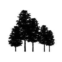 Five Elms Capital logo