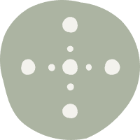 Path Ahead Ventures logo